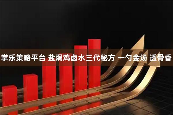 掌乐策略平台 盐焗鸡卤水三代秘方 一勺金汤 透骨香